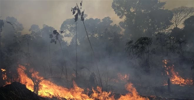 Πυρκαγιές στον Αμαζόνιο-«Δεν είναι δάσος αλλά νεκροταφείο» (βίντεο)